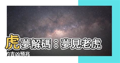 夢見養老虎|夢見養老虎，夢到養老虎是什麽意思？